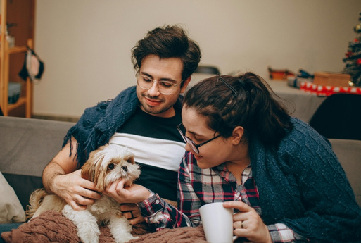 Man woman and dog A couple sitting on a couch, wrapped in blankets, interacting with a small dog. A Christmas tree is visible in the background.